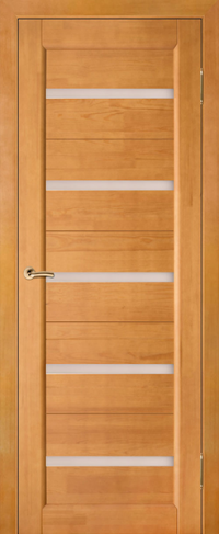 Дверь Вега 5 ЧО
