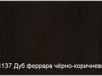 h1137