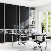 Шкаф-купе для документов в офис с кожей и стеклом