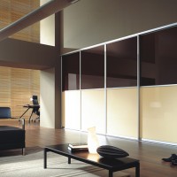 Шкаф-купе в гостиую с лакобелем