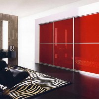 Шкаф-купе в гостиную с лакобелем