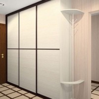 Шкаф-купе в прихожей из ДСП