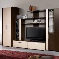 Секция из ДСП с пескоструем, распашным шкафом и полками